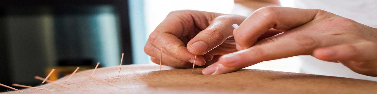 Learn Acupuncture Course 